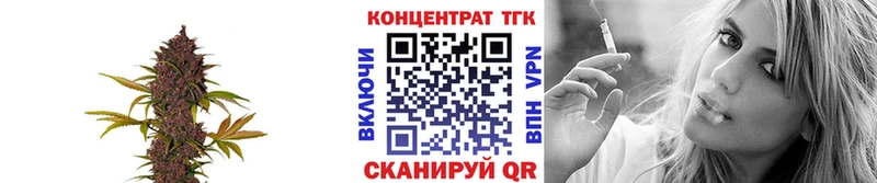 Дистиллят ТГК THC oil ссылка на мегу онион Черняховск