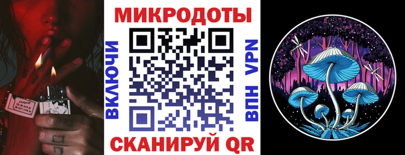 мориарти клад  Черняховск  Галлюциногенные грибы прущие грибы 
